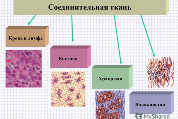 Кракен плейс